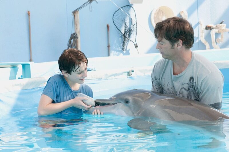  6. История дельфина (2011)