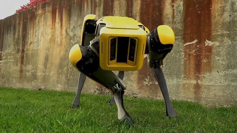Boston Dynamics начала продажу робособаки Spot