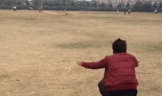 Гифки разные