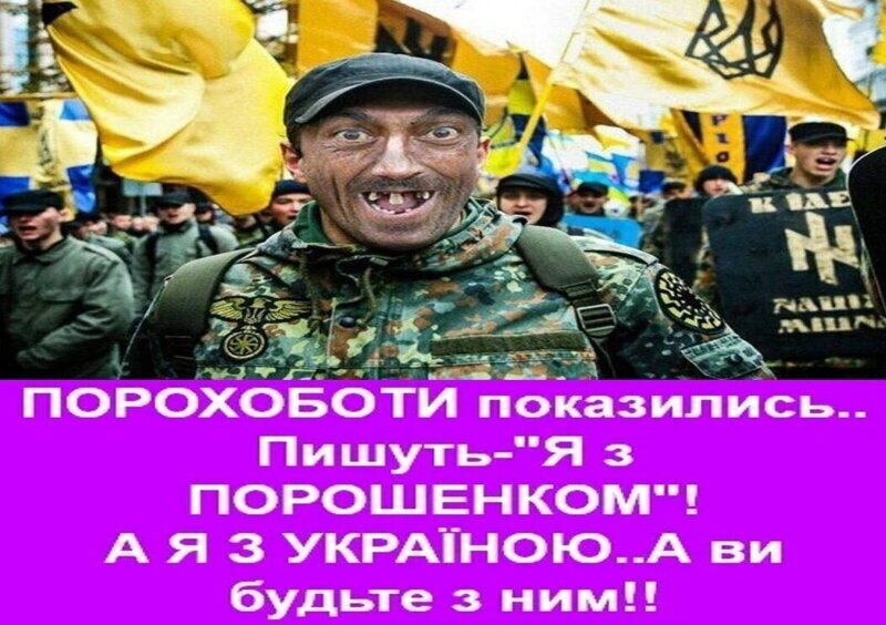 Политические комментарии из инета