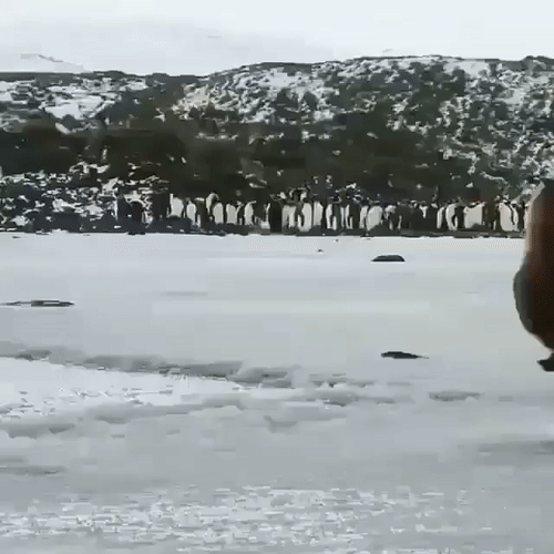 С добрым утром! С добрым утром!
