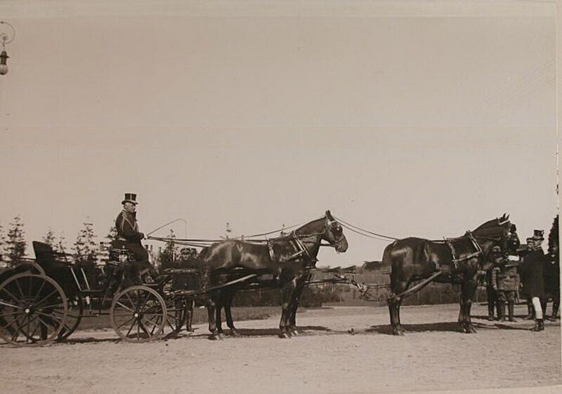Экипаж, запряженный четверкой лошадей, у здания Беловежского дворца