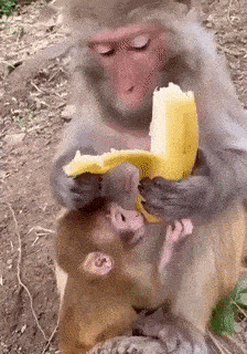 Никто не любит банановые "ниточки"