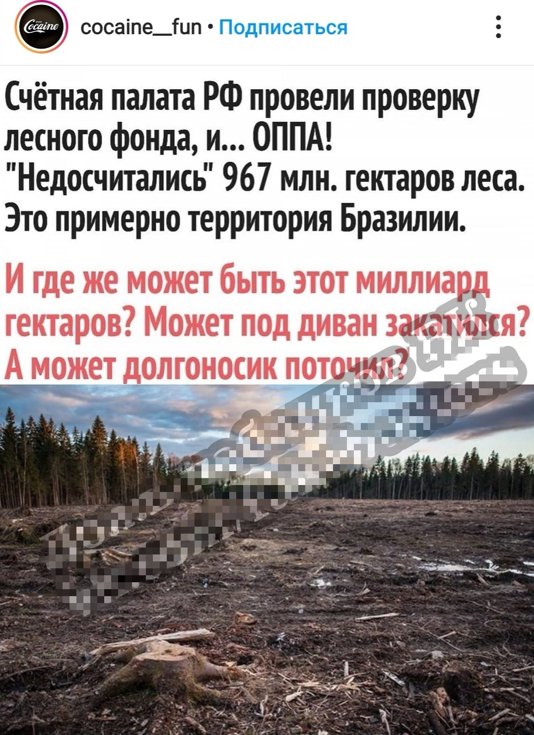 Площадь всех лесов России составляет чуть более 800 млн. га, хотя можно найти данные, что леса в России занимают 1,145 млн га территории и значит, что мы остались совсем без деревьев. Правда что ли?