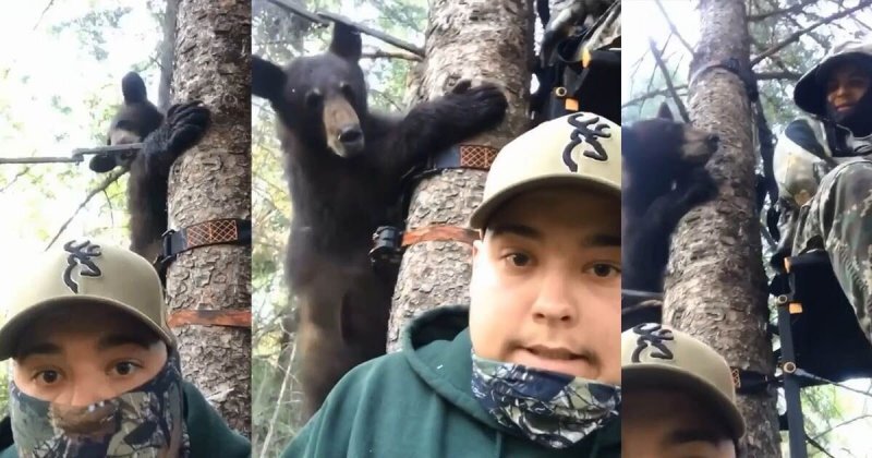 Эта встреча с медведем "лицом к лицу" запомнится охотникам надолго