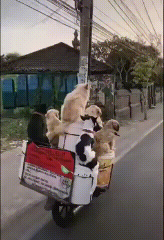 С добрым утром!