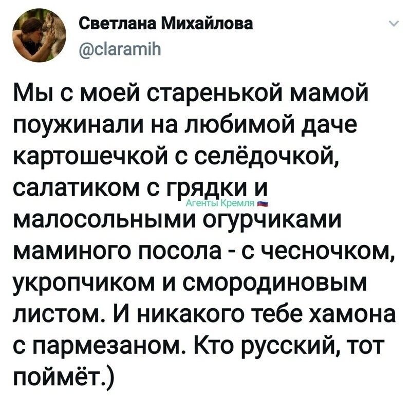 Политические комментарии из инета