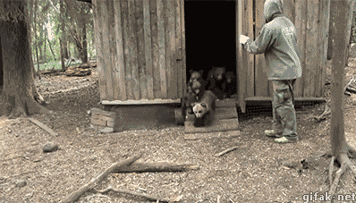 Гифки разные Гифки разные