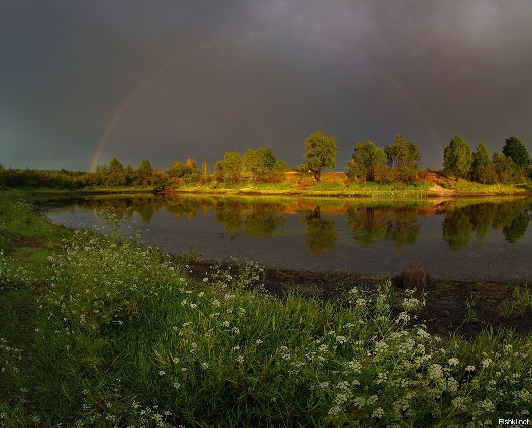 Природа после дождя. Солнце после дождя. Вечер после дождя. Природа лето после дождя.