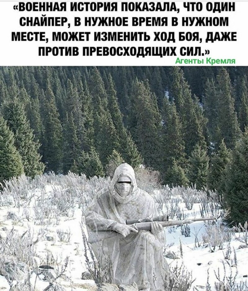 Политические комментарии из инета