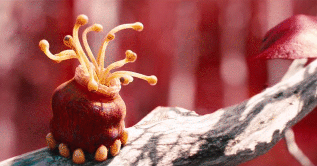 Гифки Гифки