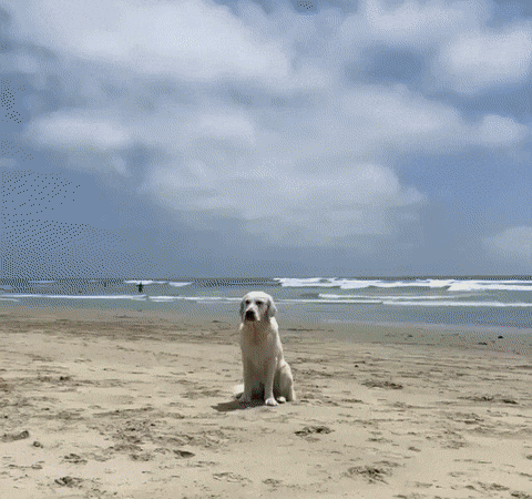 Гифки разные