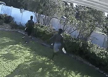 Гифки разные