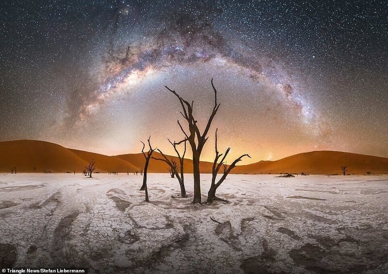 "Мертвое болото" (Deadvlei), Стефан Либерман. Национальный парк Намиб-Науклуфт, Намибия