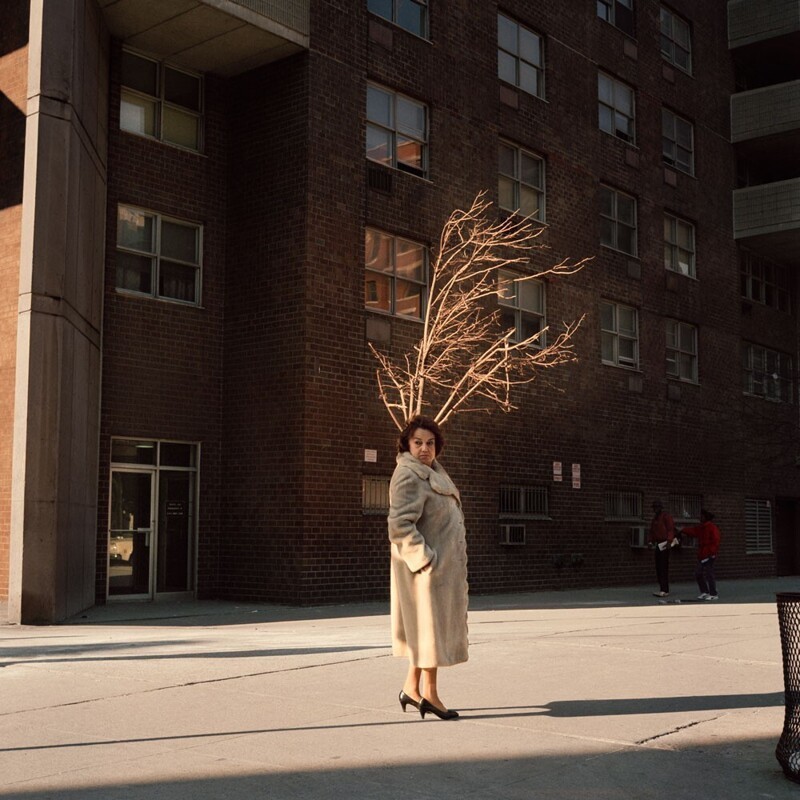 Женщина и дерево, 1987