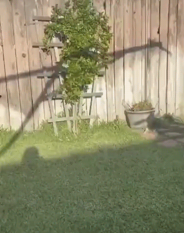 Переполненная гордостью