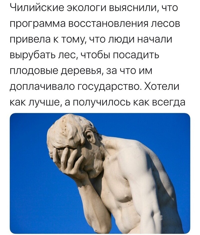 Политические комментарии из инета
