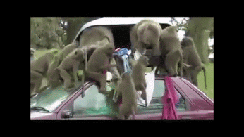 Гифки разные