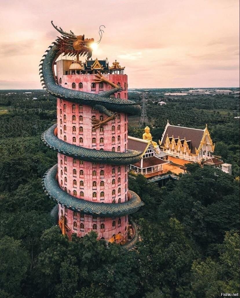 дракон таиланда