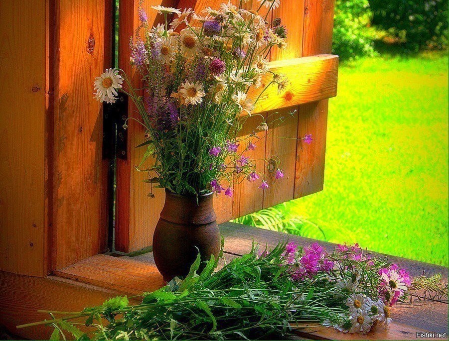 В лето ничего не было. Деревенские цветы. Цветы на пороге дома. Лето в деревне цветы. Деревенский букет цветов.