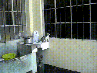 Гифки разные