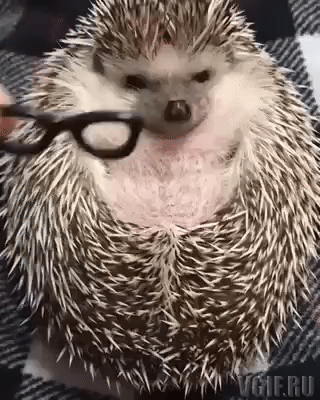 Гифки разные