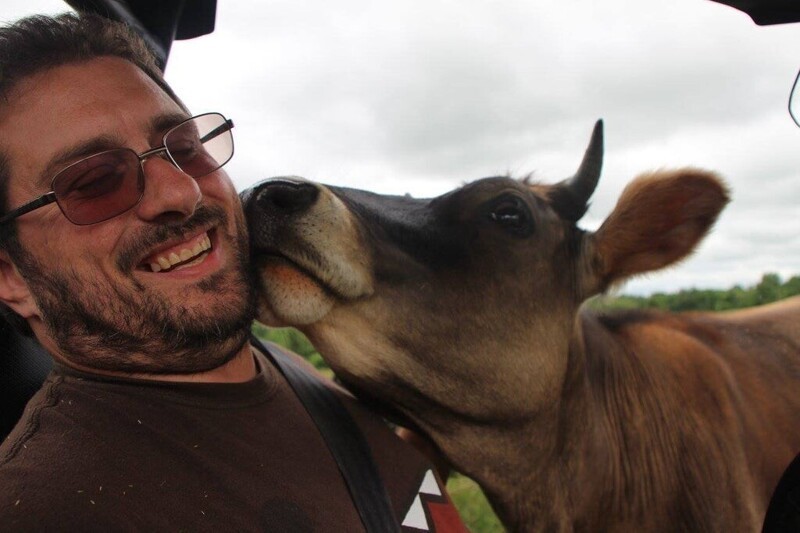 13. «Я зашёл проверить своих коров, и одна из них решила меня поцеловать»