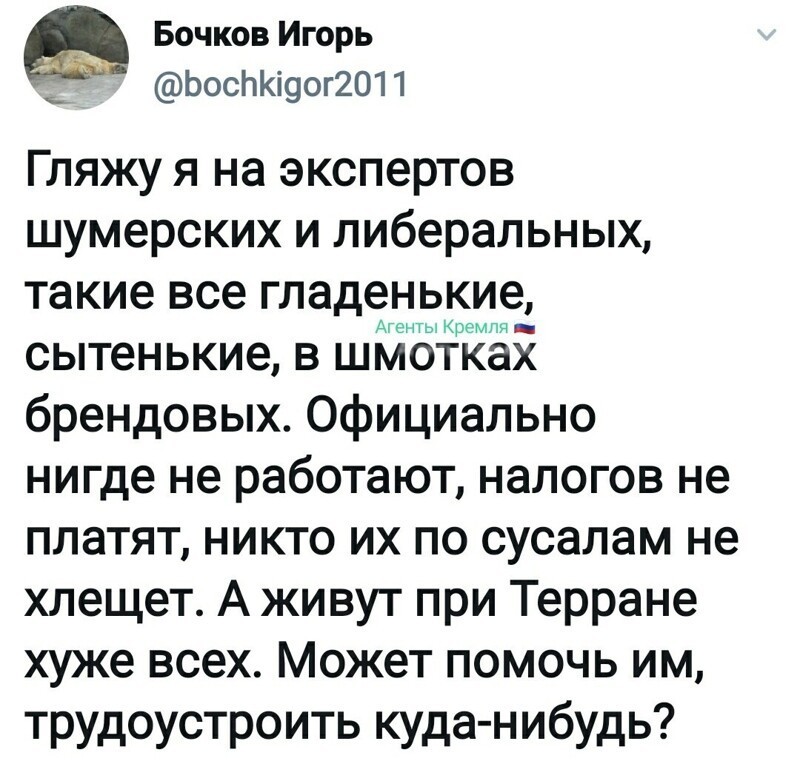 Политические комментарии из инета