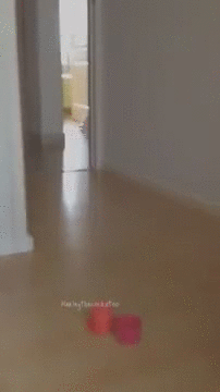 Гифки разные