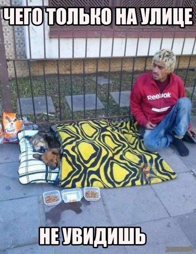 Смешные картинки