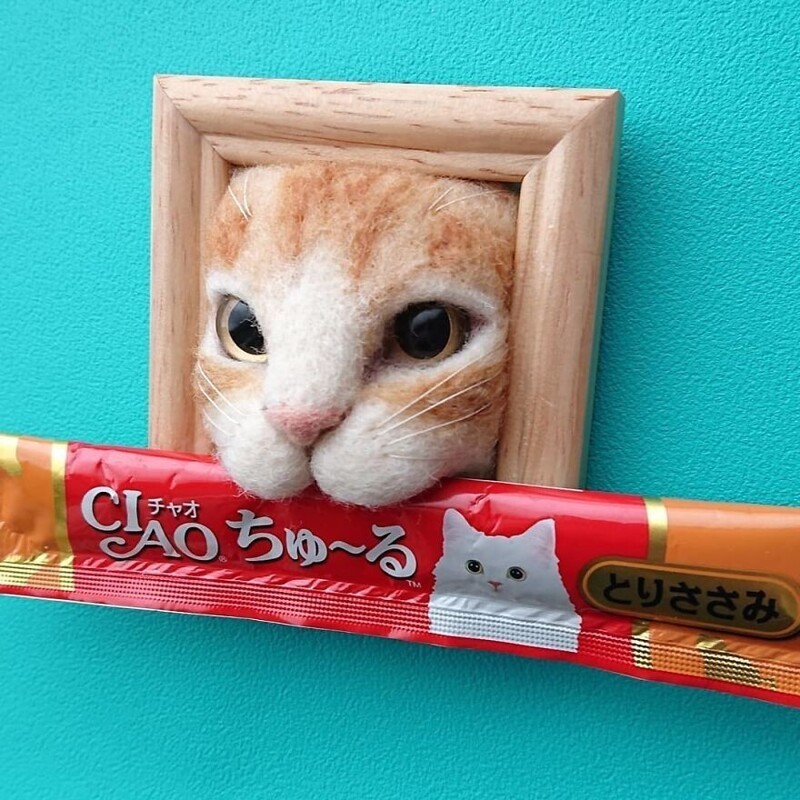 Японка создает забавные кошачьи мордочки, застрявшие в рамках