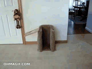 С добрым утром!