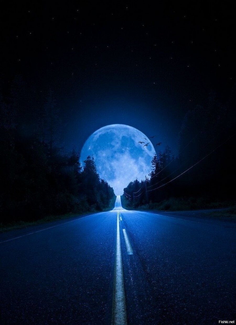 Дорога Луна