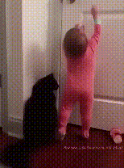 Гифки разные