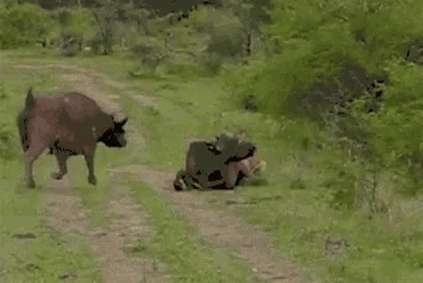 С добрым утром!