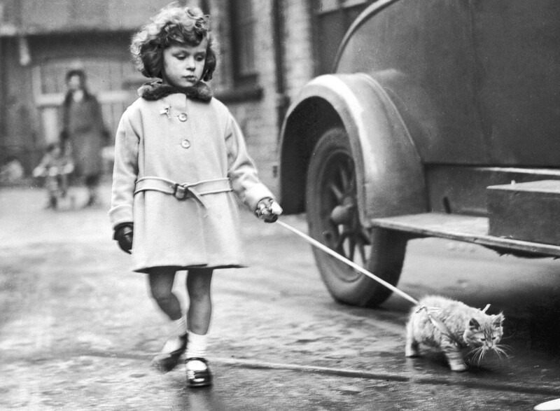 Прогулка со своим домашним животным... 1931 год.