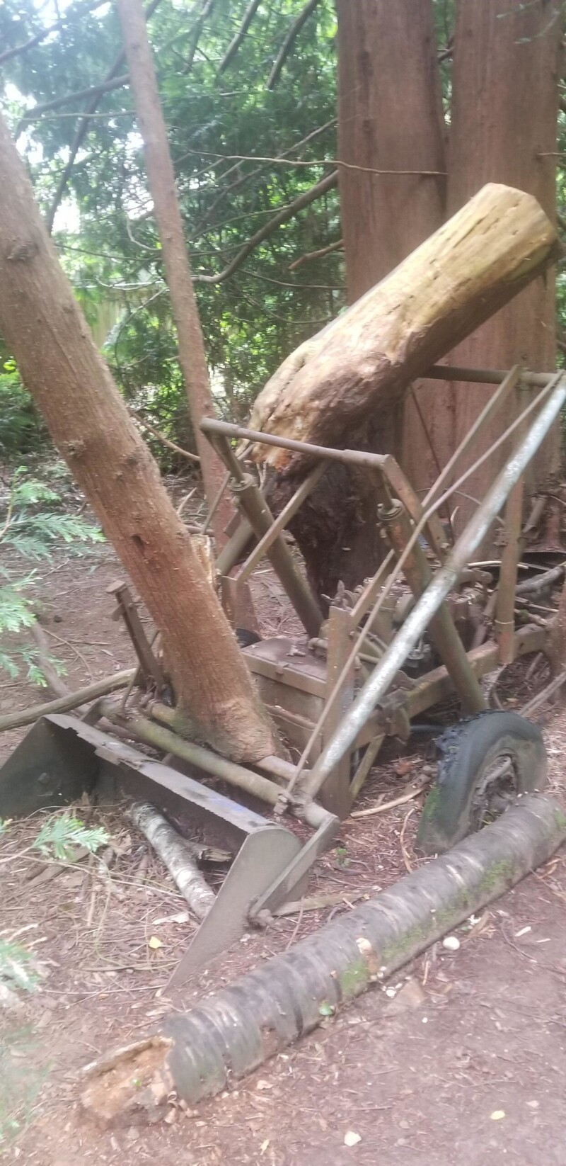 «Старая лесозаготовительная машина в парке в Сиэтле