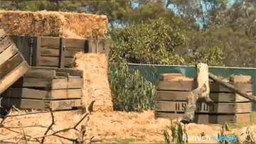 Велосипедные гифки