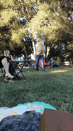 Собачьи гифки