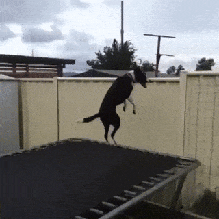 Гифки разные Гифки разные