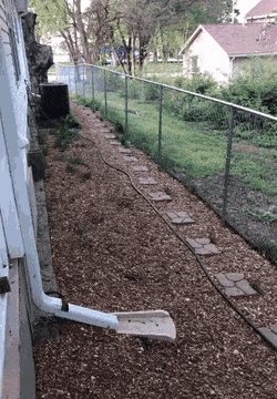 Собачьи гифки Собачьи гифки