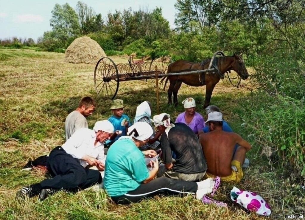 Картинка сенокос в деревне