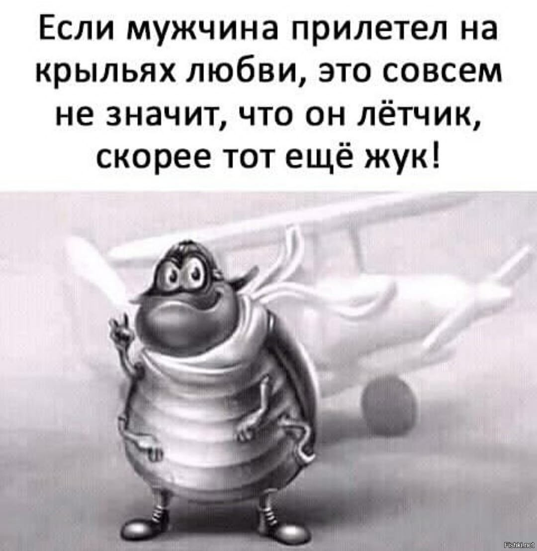Тома жук