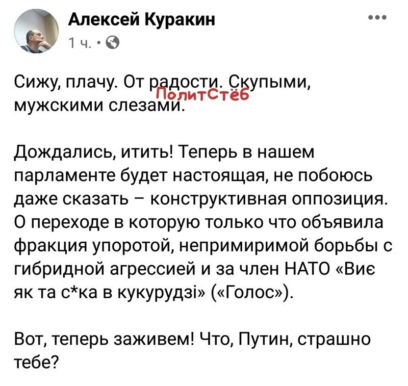 Политические комментарии из инета