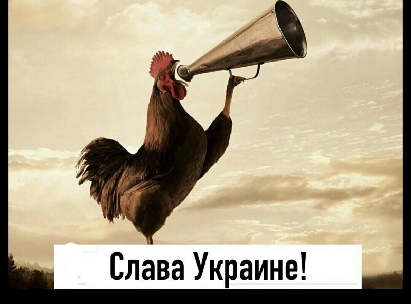 Политические комментарии из инета