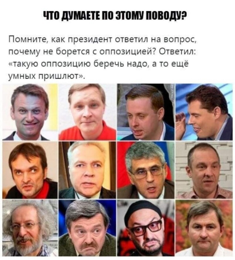 Лечить тоже воздержитесь- вдруг поумнеют и что тогда?