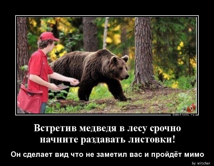 Что делать при встрече с медведем. Что делать если встретил медведя в лесу. Если встретил медведя в лесу прикол. Встретив в лесу медведя начните раздавать листовки. Встретив в лесу медведя.