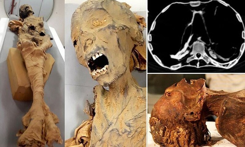 Компьютерная томография объяснила причину смерти "мумии кричащей женщины"