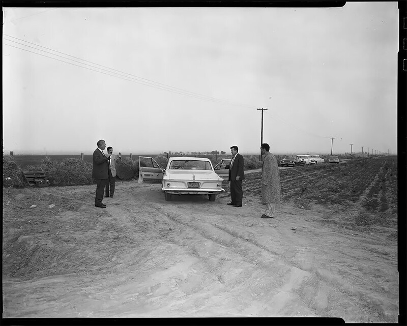 Следственный эксперимент на луковом поле, 1963