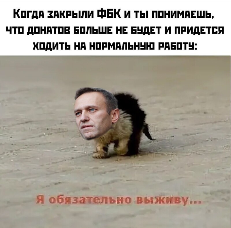 ФБК* Навального - ВСЁ: реакция соцсетей на ликвидацию детища оппозиционера